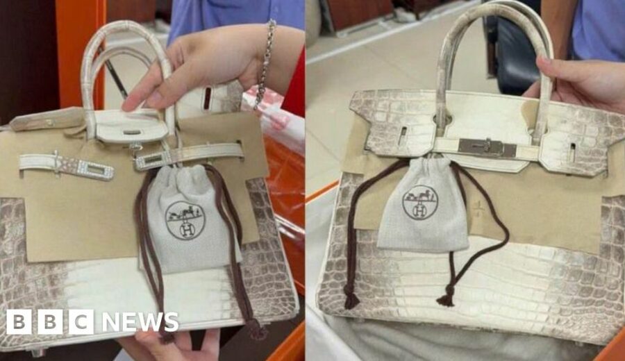 Luxury Handbags Sell for $550K