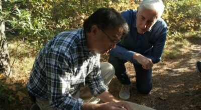 Lyme Disease Fight Turns to Genetically Engineered Mice