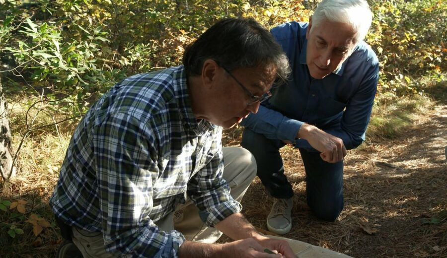 Lyme Disease Fight Turns to Genetically Engineered Mice