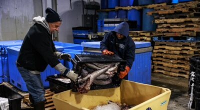 Maine Fishermen Give Away Free Fish