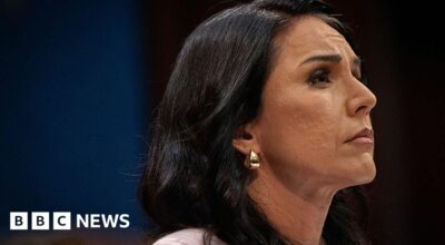 Tulsi Gabbard Resigns as US Intelligence Director