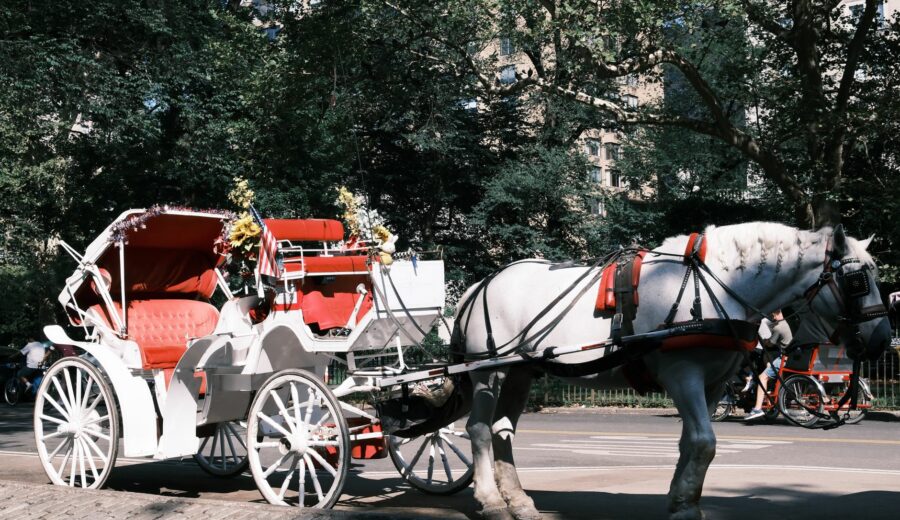 Teen Dies in Central Park Carriage Accident
