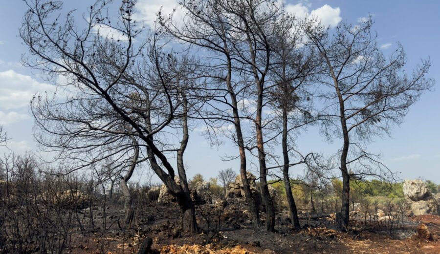 Wildfire Kills 12 in Spain