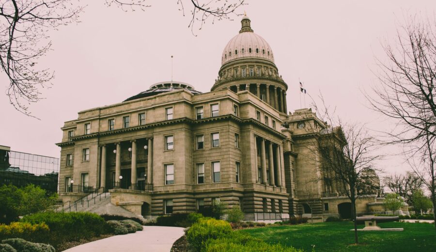 Top Democrat Wins Michigan Senate Primary