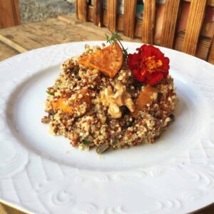 Biorganic Ibiza