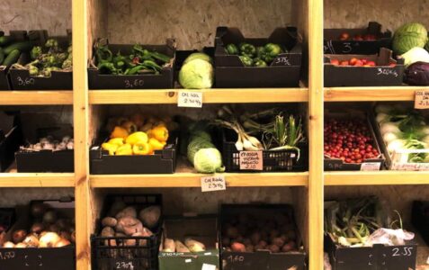 Biorganic Ibiza