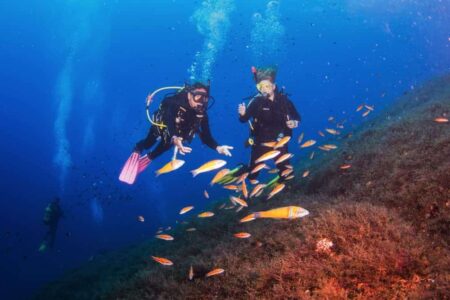 Divestar Ibiza