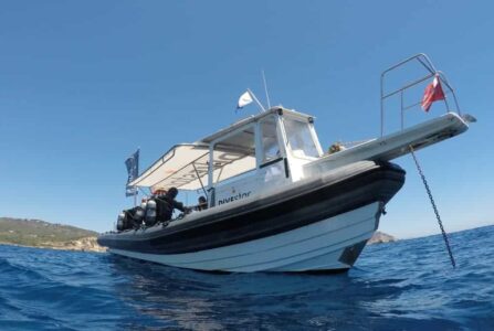 Divestar Ibiza