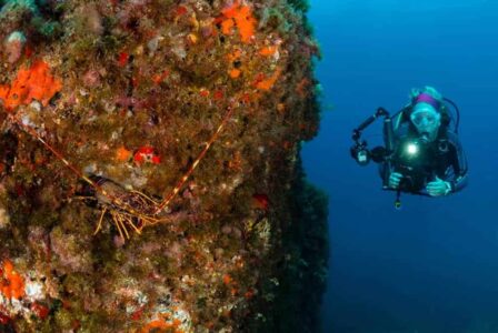 Divestar Ibiza
