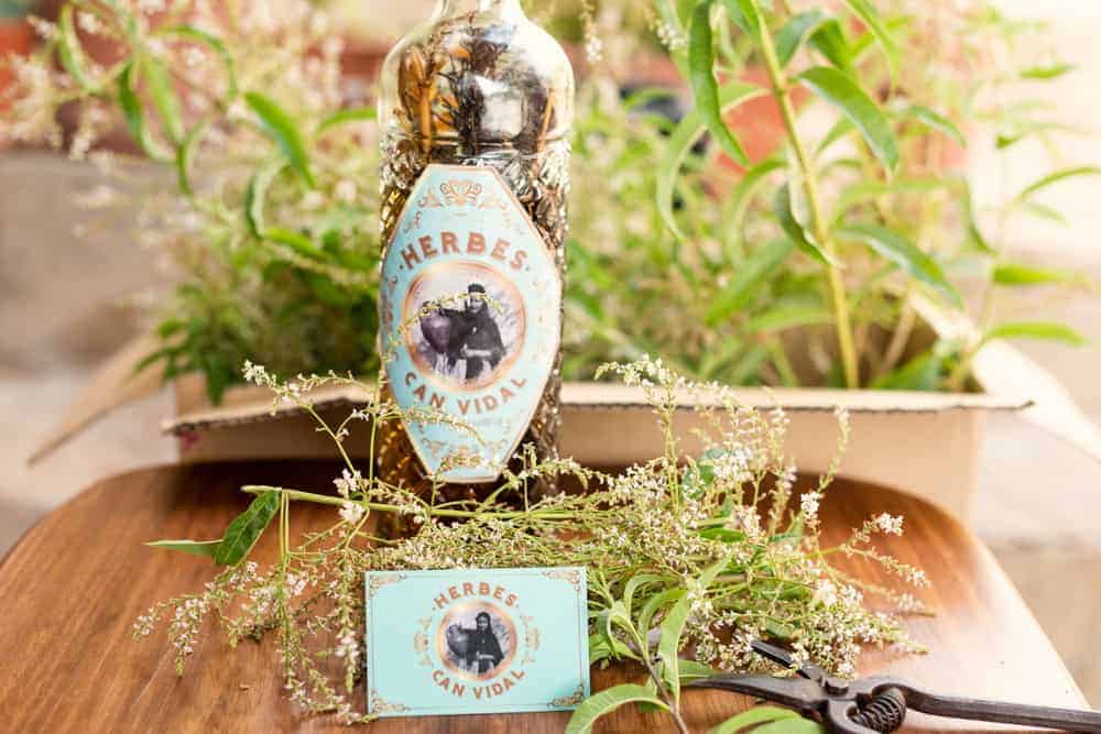 Herbes Can Vidal hierbas ibicencas 00
