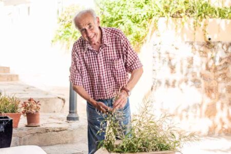 Herbes Can Vidal