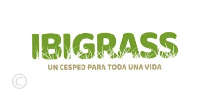 Ibigrass
