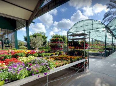 Jardín Mediterráneo