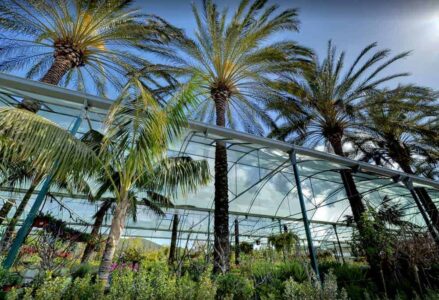 Jardín Mediterráneo