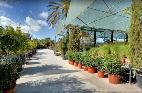 Jardín Mediterráneo