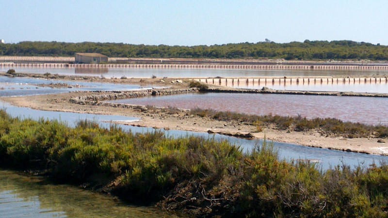 Parque-Natural-Salinas-Ibiza