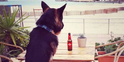 Restaurantes Pet friendly en Ibiza