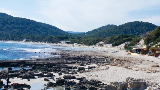 Salinas - Ses Salines
