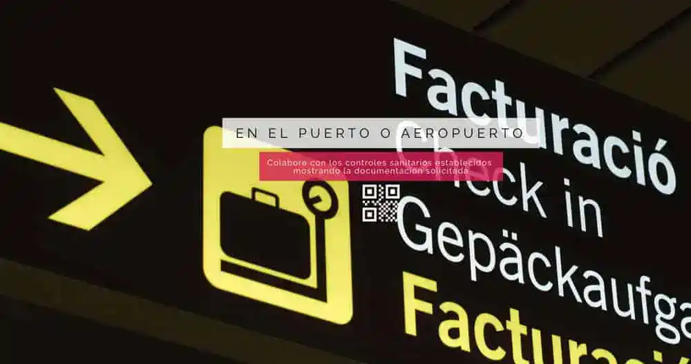 Viajar a Ibiza durante las restricciones sanitarias por la Covid-19