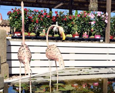 Aquagarden Ibiza