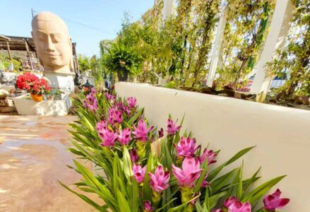 Aquagarden Ibiza