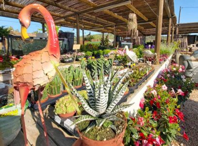 Aquagarden Ibiza