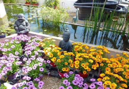 Aquagarden Ibiza