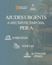 Ayudas por los daños de la DANA en Ibiza