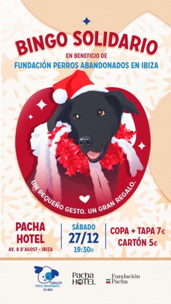 Charity bingo for abandoned dogs at Pacha Hotel
