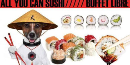 Buffet de sushis à volonté chez Los Bodegueros Ibiza, Bienvenue à Ibiza Offrez-vous le buffet de sushis à volonté de Los Bodegueros Ibiza