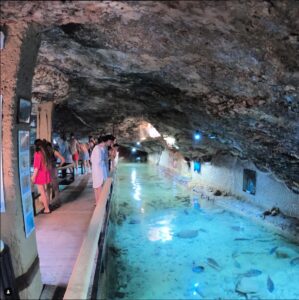 Excursión en barco al Parque Natural + Aquarium con Capitán Nemo