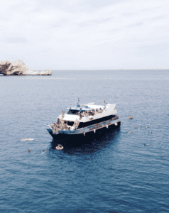 Excursión en barco a Es Vedrá con Capitán Nemo - Daytime