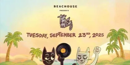 Two and a Half Cats en Beachouse Ibiza
