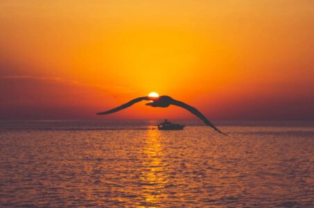 Float Your Boat Ibiza