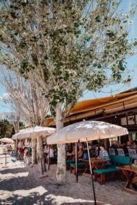Freedom Beach Restaurant & Chill Out