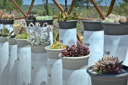 BiBo Park (Ibiza Botánico Biotecnológico)