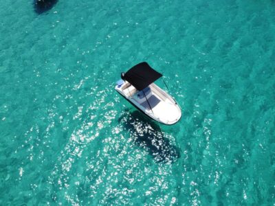 Lizard Boats
