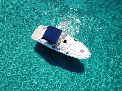 Lizard Boats
