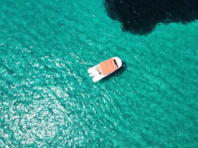 Lizard Boats
