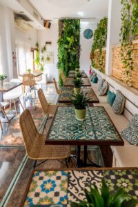 Musset Ibiza
