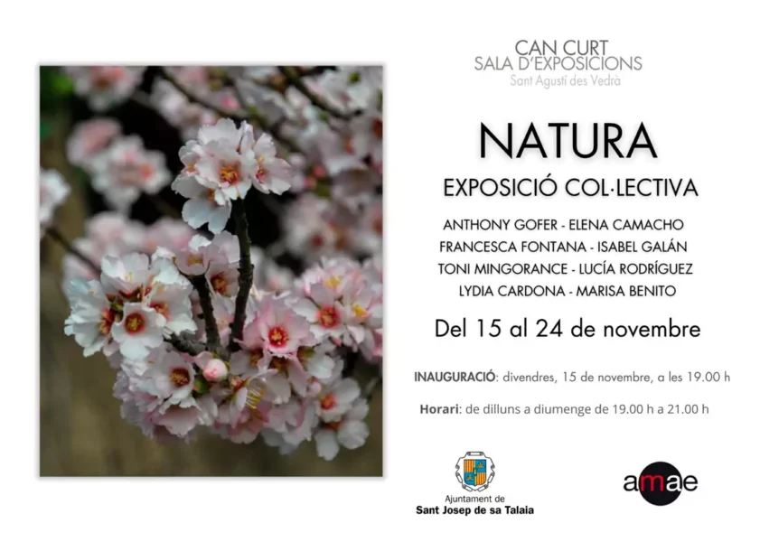 exposición colectiva de la AMAE en Can Curt