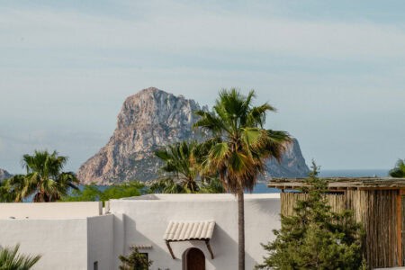 Petunia Ibiza