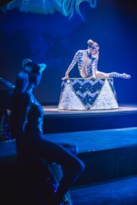 Pereyra Experience Dinner Show