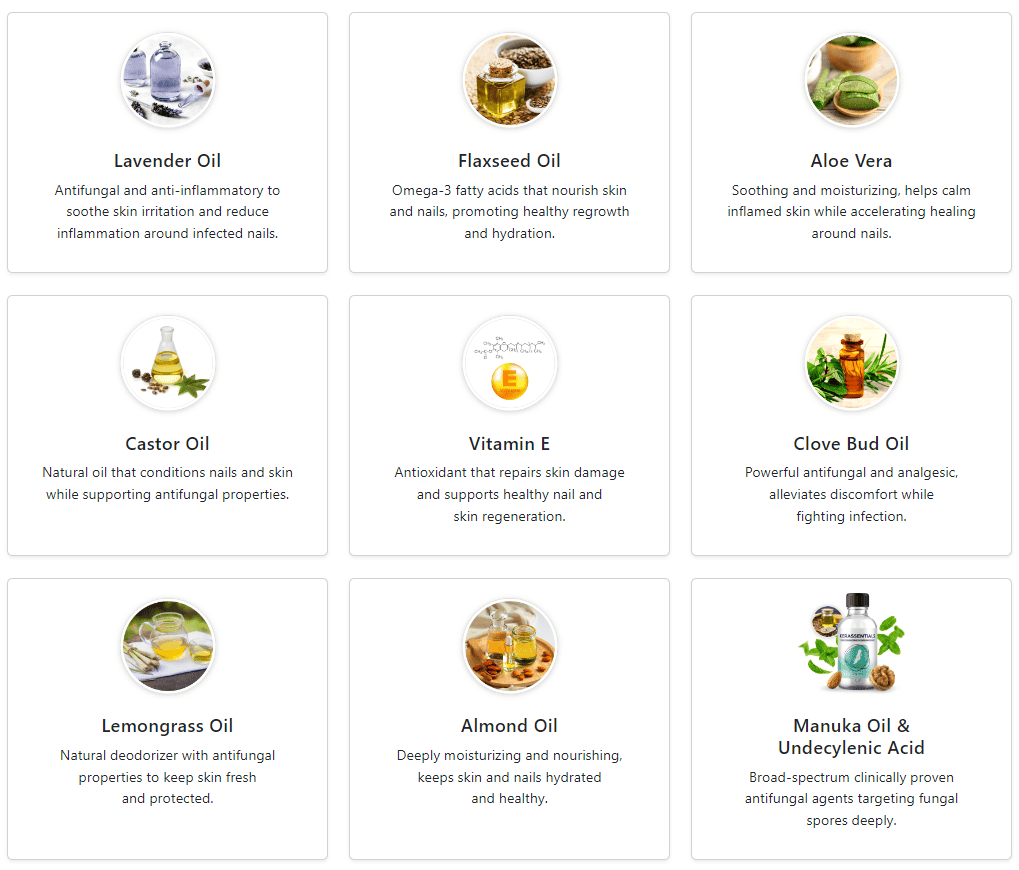 Illustration of the powerful essential oil ingredients in Kerassentials, natural extracts and compounds for comprehensive nail and skin health
