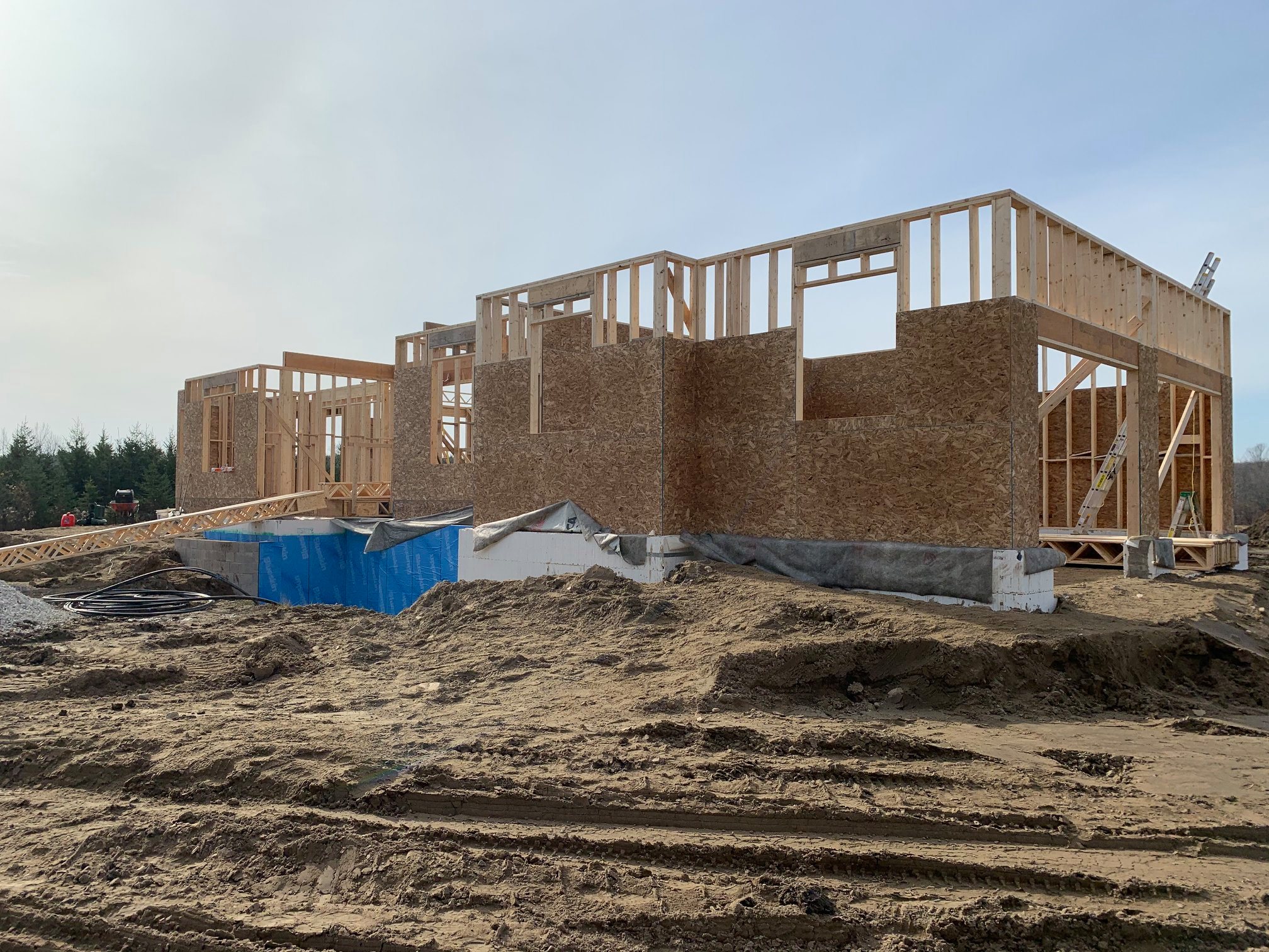 124567312 1775363185965588 2130409893506066195 n 1775363182632255