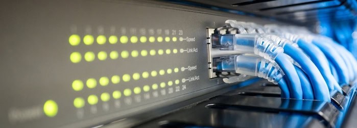 High-speed Ethernet cables connected to network switch at West X Business Solutions.