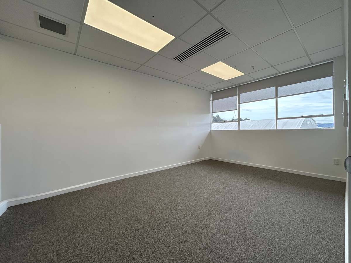 Modern office interior with natural light and carpet flooring at Unit 23, 27 Blenheim Street.