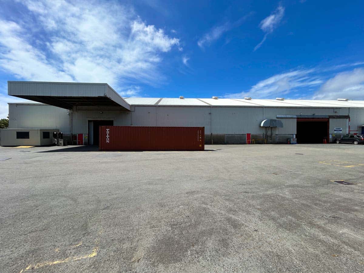 Industrial warehouse building with loading dock at 38 East Street, White Lion, NZ.
