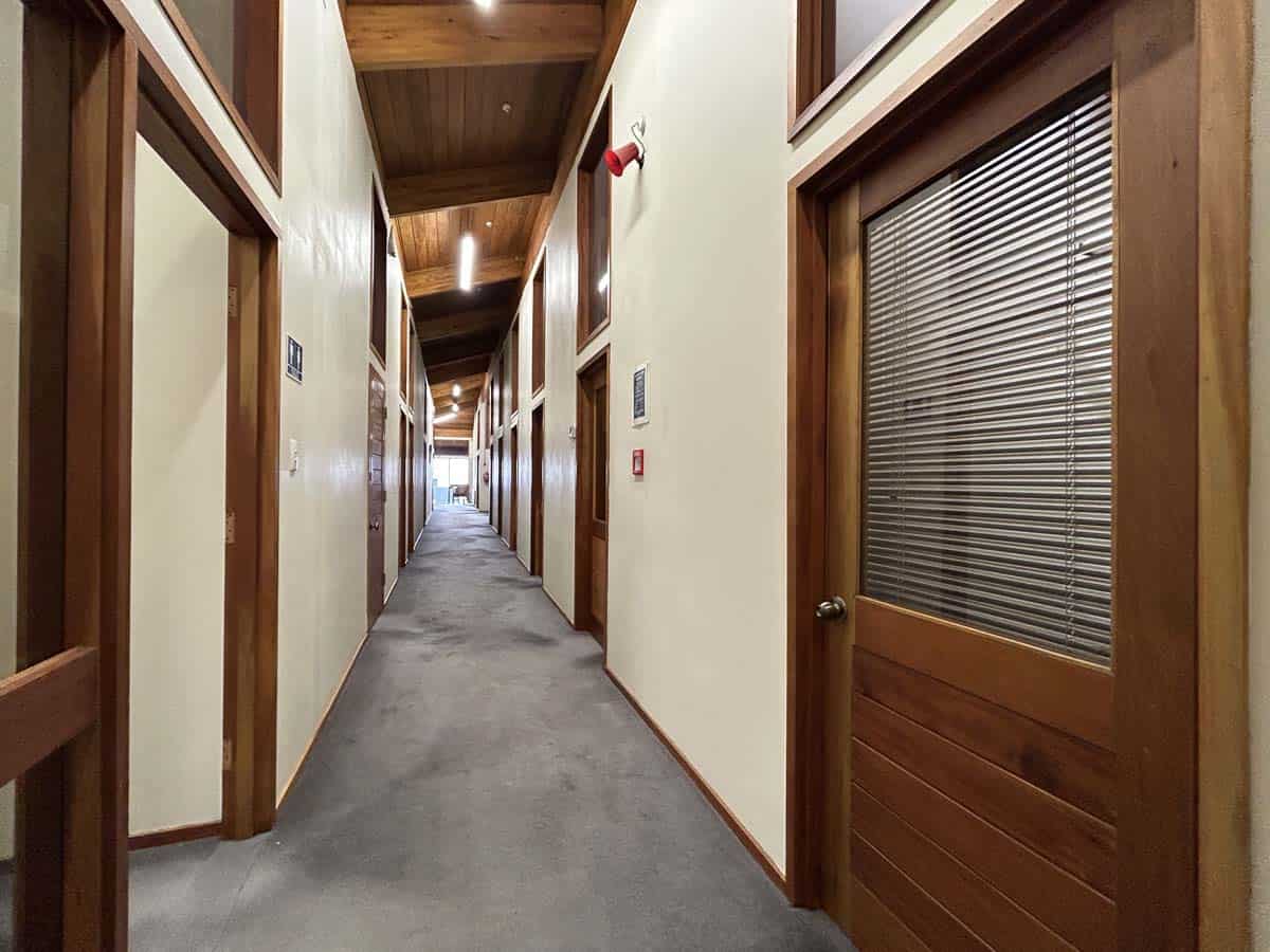 Modern office corridor with wooden doors and natural lighting.