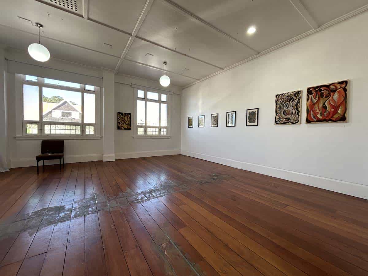 Art gallery interior showcasing contemporary artworks at White Lion, 74 Powderham Street.